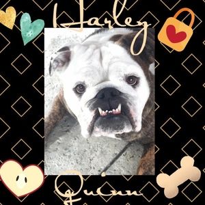 Meet your Posher, Jane